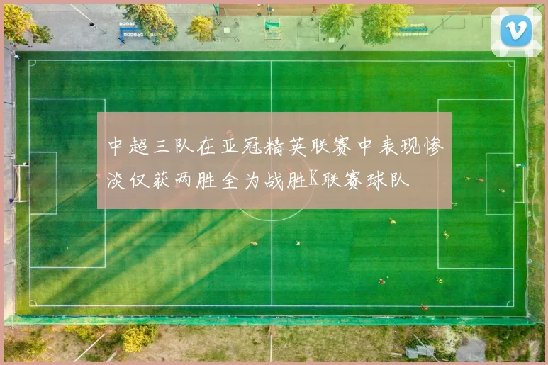 中超三队在亚冠精英联赛中表现惨淡仅获两胜全为战胜K联赛球队
